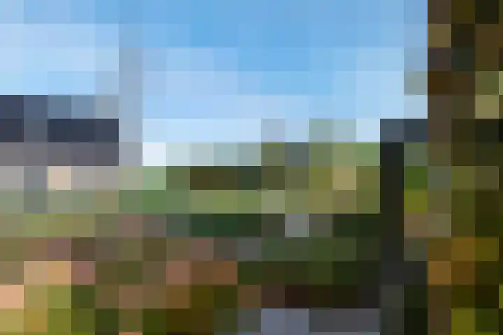Aeneas Mackaylaan 4 Ophemert thumbnail 31