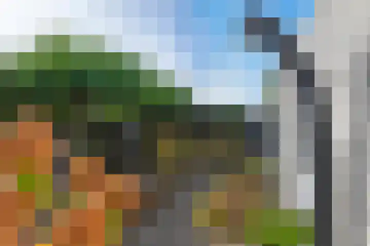 Aeneas Mackaylaan 4 Ophemert thumbnail 33