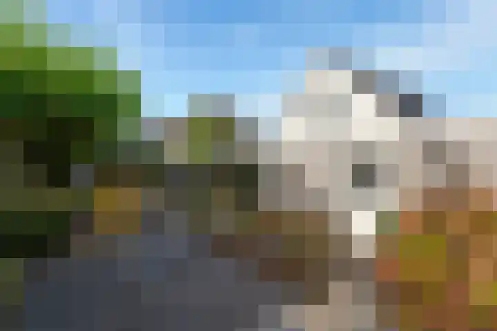 Aeneas Mackaylaan 4 Ophemert thumbnail 34