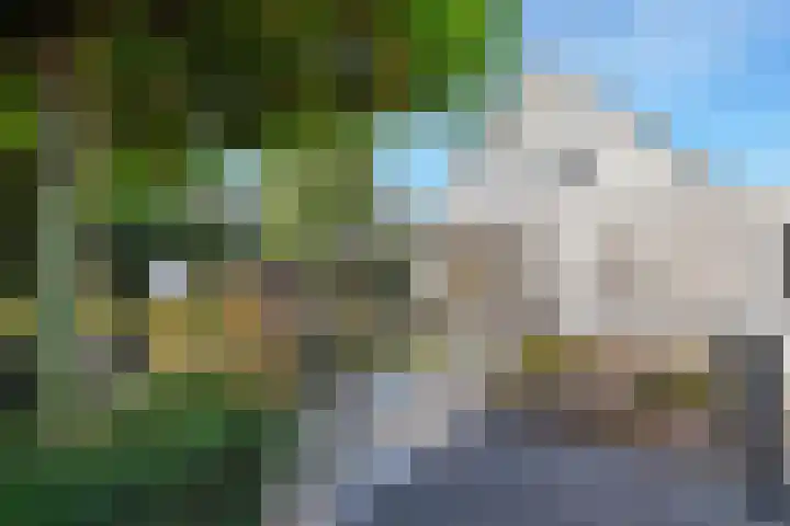 Aeneas Mackaylaan 4 Ophemert thumbnail 35