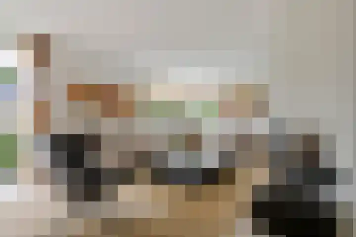 Aeneas Mackaylaan 4 Ophemert thumbnail 4