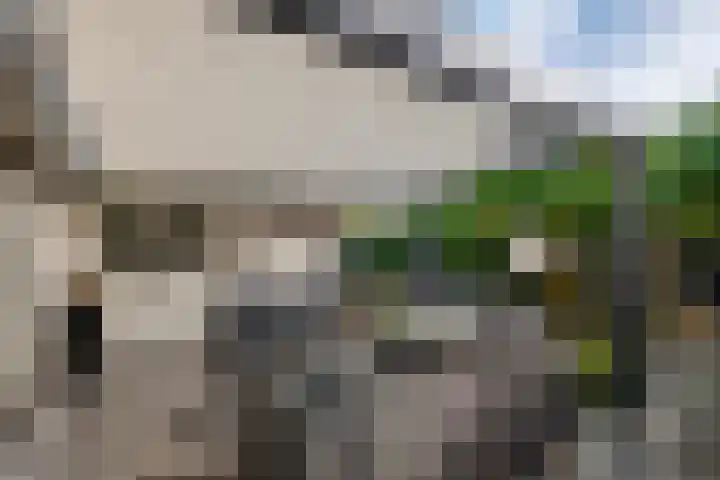 Aeneas Mackaylaan 4 Ophemert thumbnail 40