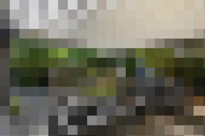 Aeneas Mackaylaan 4 Ophemert thumbnail 41