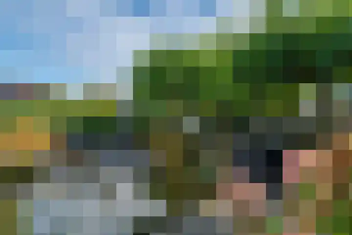 Aeneas Mackaylaan 4 Ophemert thumbnail 42