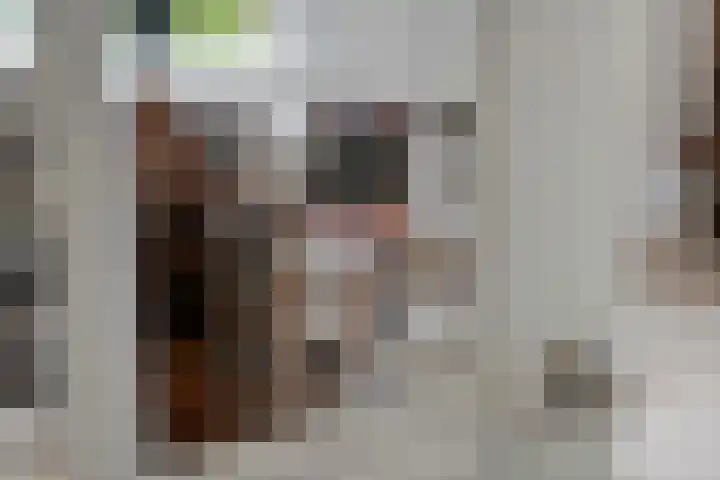 Aeneas Mackaylaan 4 Ophemert thumbnail 45