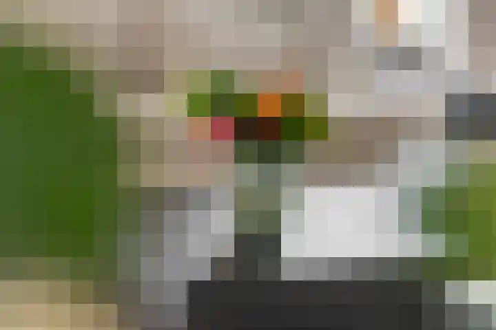 Aeneas Mackaylaan 4 Ophemert thumbnail 46
