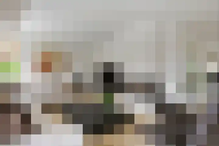 Aeneas Mackaylaan 4 Ophemert thumbnail 5