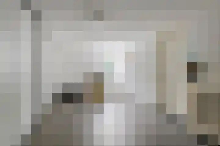 Aeneas Mackaylaan 4 Ophemert thumbnail 50