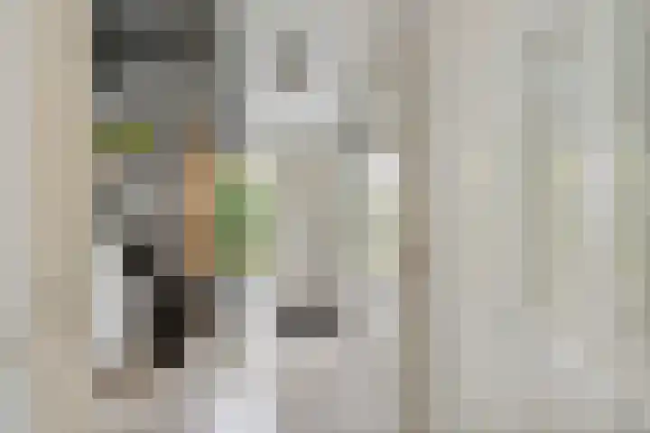 Aeneas Mackaylaan 4 Ophemert thumbnail 51