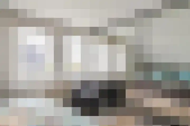 Aeneas Mackaylaan 4 Ophemert thumbnail 57