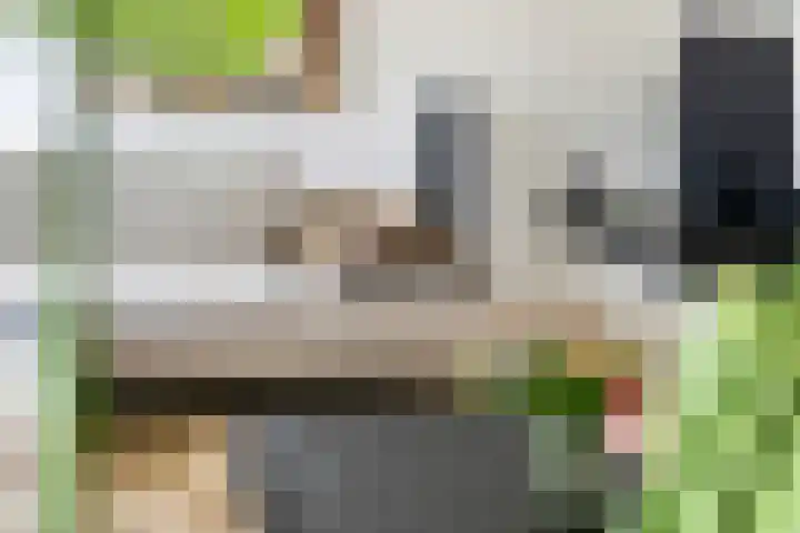 Aeneas Mackaylaan 4 Ophemert thumbnail 6
