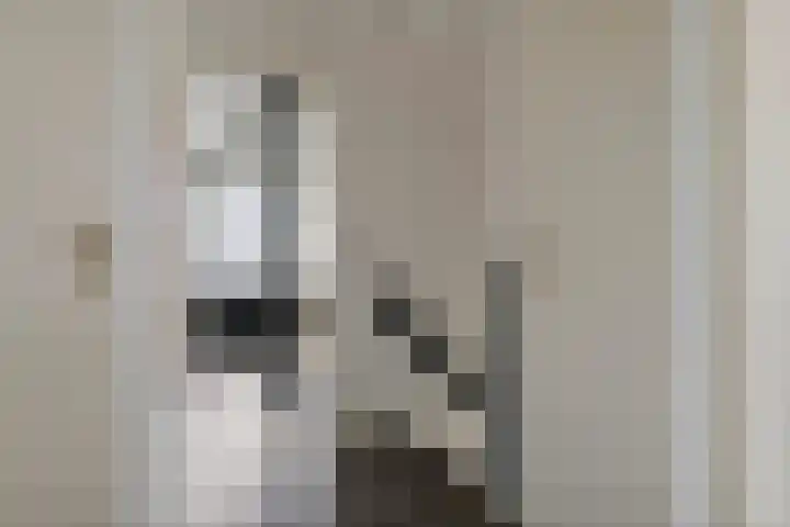 Aeneas Mackaylaan 4 Ophemert thumbnail 60
