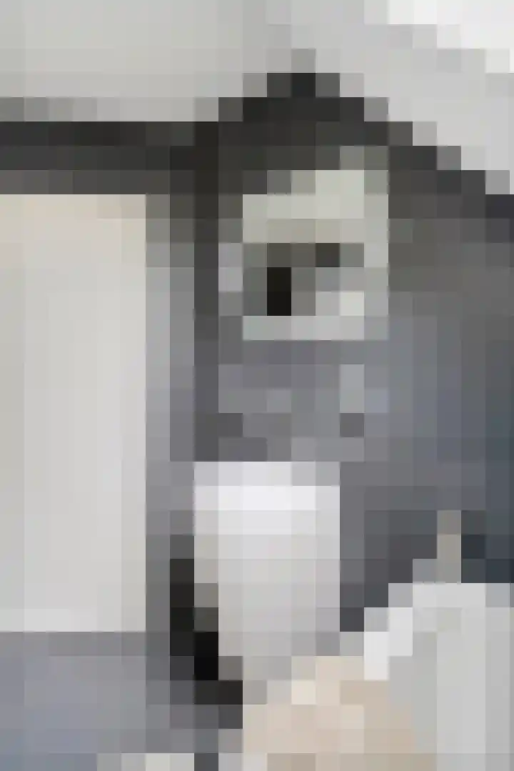 Aeneas Mackaylaan 4 Ophemert thumbnail 69