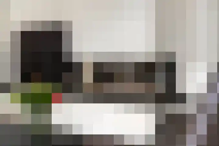 Aeneas Mackaylaan 4 Ophemert thumbnail 7