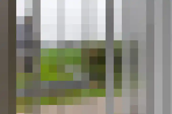 Aeneas Mackaylaan 4 Ophemert thumbnail 72