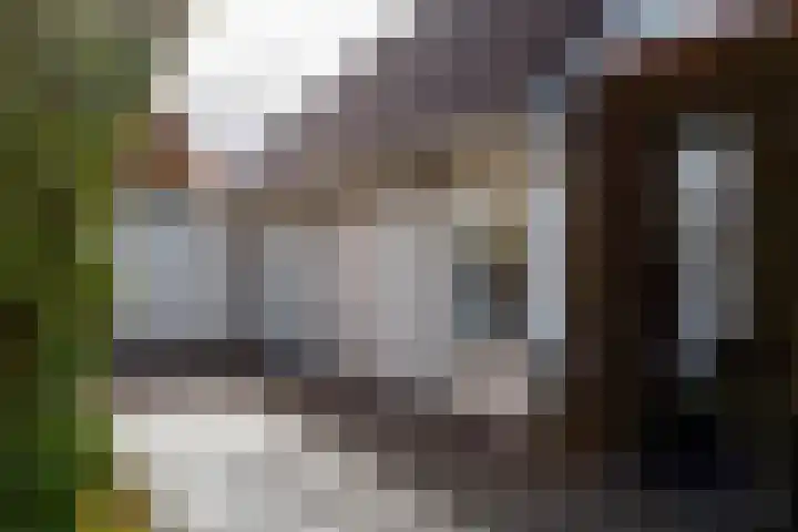 Aeneas Mackaylaan 4 Ophemert thumbnail 74