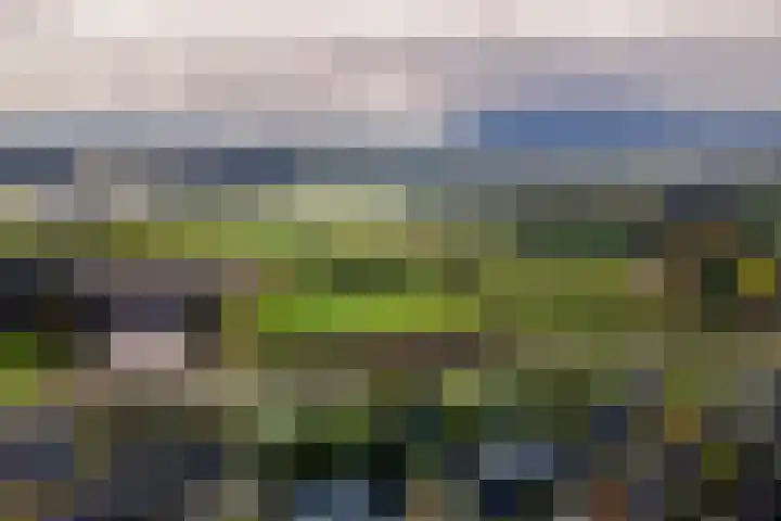 Aeneas Mackaylaan 4 Ophemert thumbnail 77