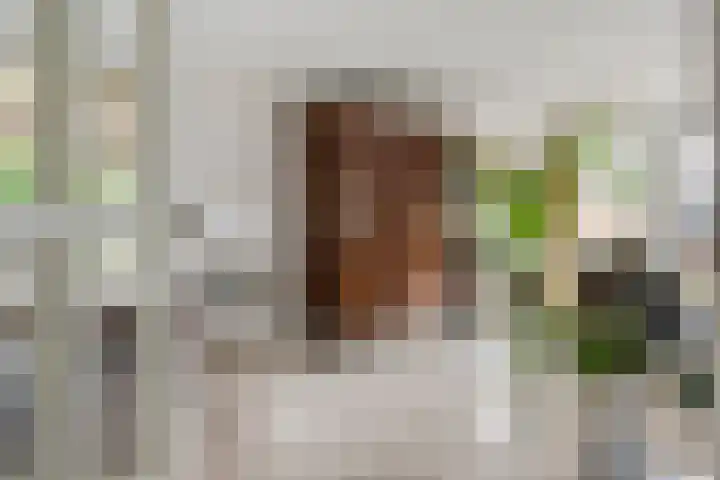 Aeneas Mackaylaan 4 Ophemert thumbnail 8