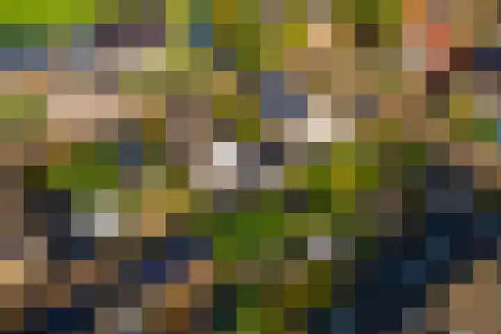 Aeneas Mackaylaan 4 Ophemert thumbnail 80