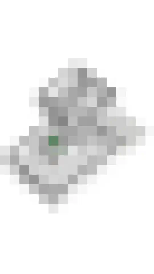 Aeneas Mackaylaan 4 Ophemert thumbnail 83