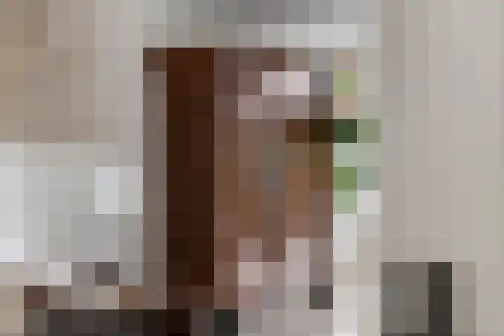 Aeneas Mackaylaan 4 Ophemert thumbnail 9