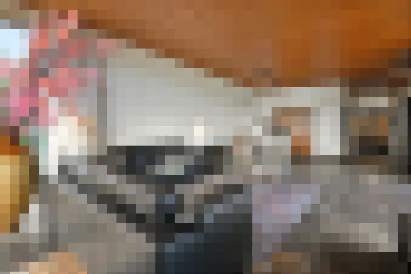 Aeneaslaan 24 Eindhoven thumbnail 13