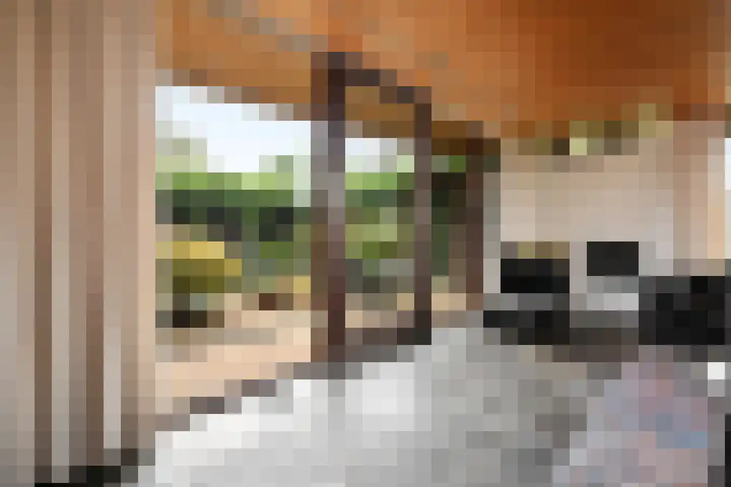 Aeneaslaan 24 Eindhoven thumbnail 15
