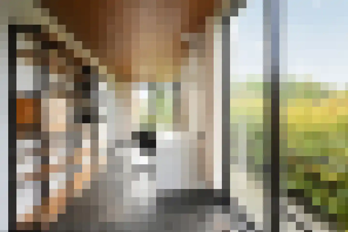 Aeneaslaan 24 Eindhoven thumbnail 17
