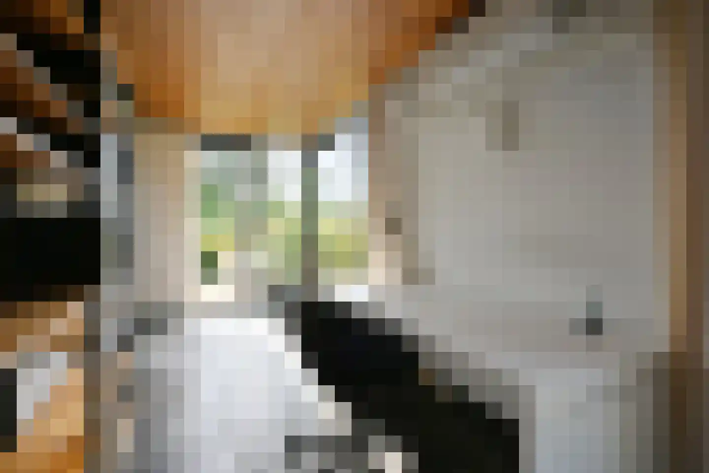 Aeneaslaan 24 Eindhoven thumbnail 18