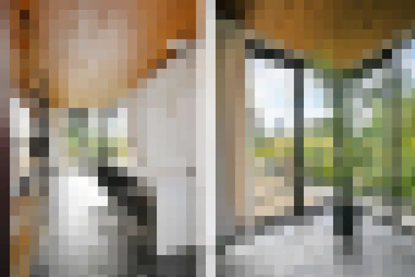 Aeneaslaan 24 Eindhoven thumbnail 19