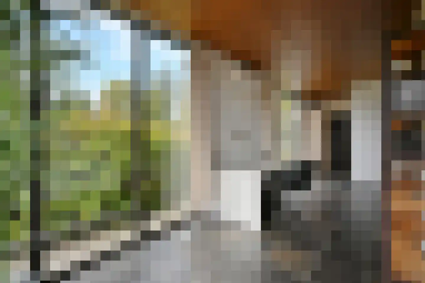 Aeneaslaan 24 Eindhoven thumbnail 20