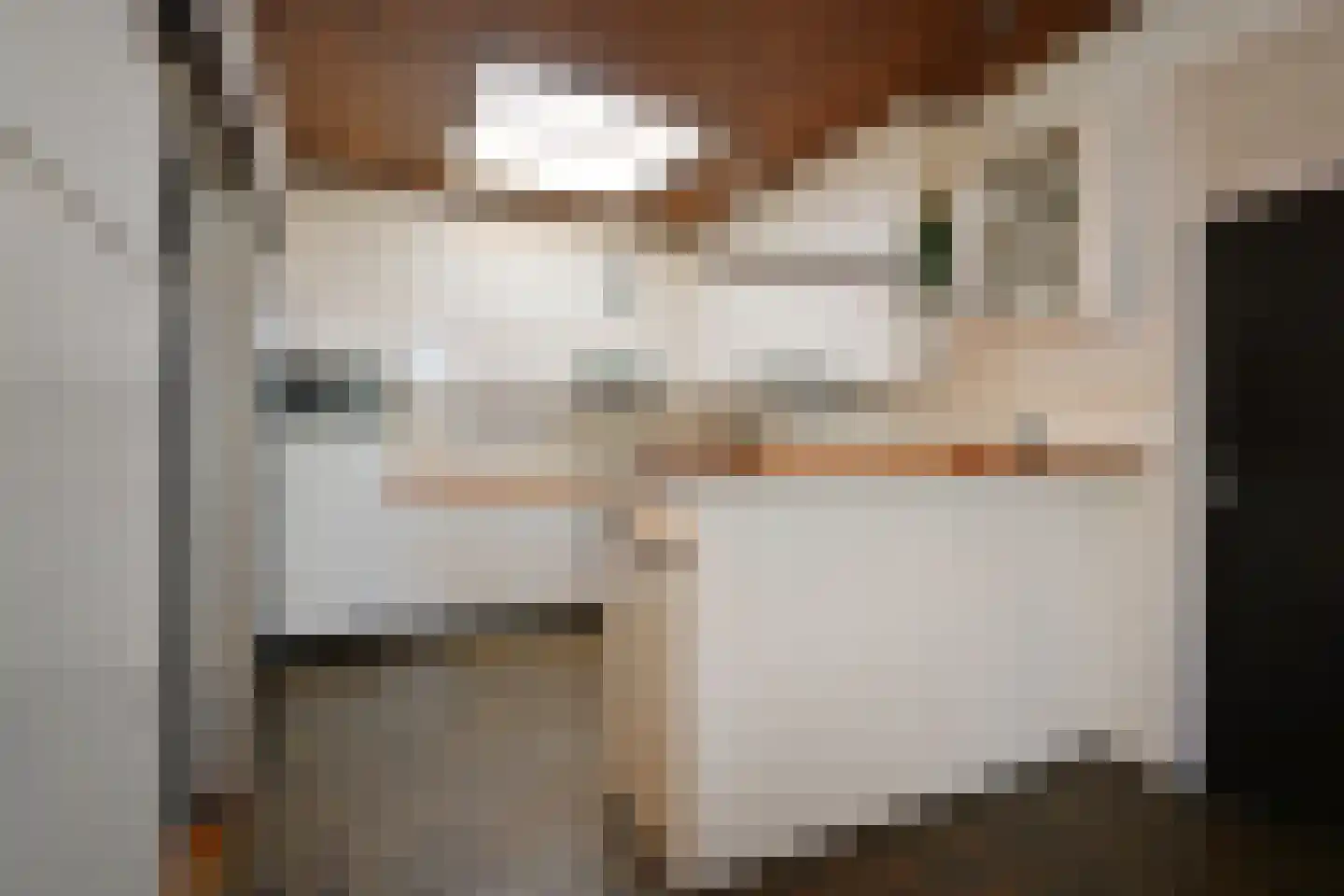Aeneaslaan 24 Eindhoven thumbnail 23