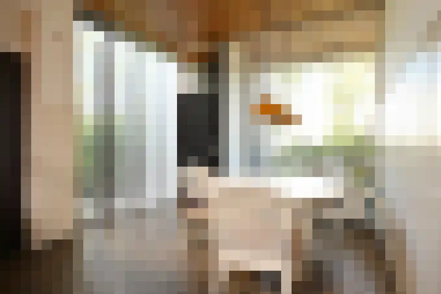 Aeneaslaan 24 Eindhoven thumbnail 25