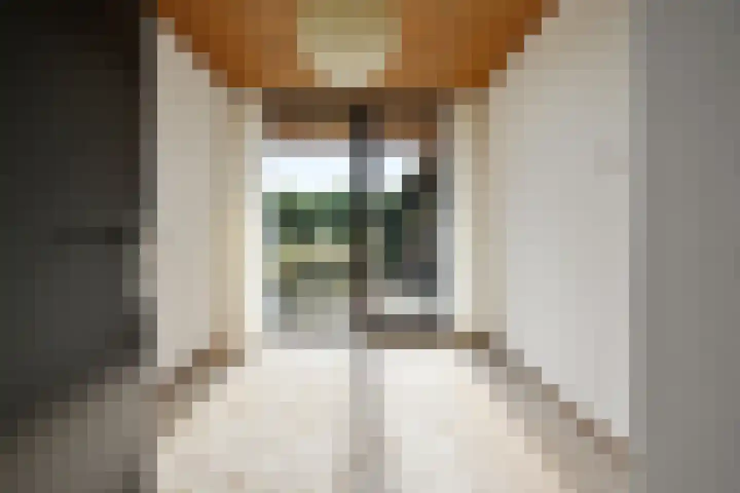Aeneaslaan 24 Eindhoven thumbnail 28