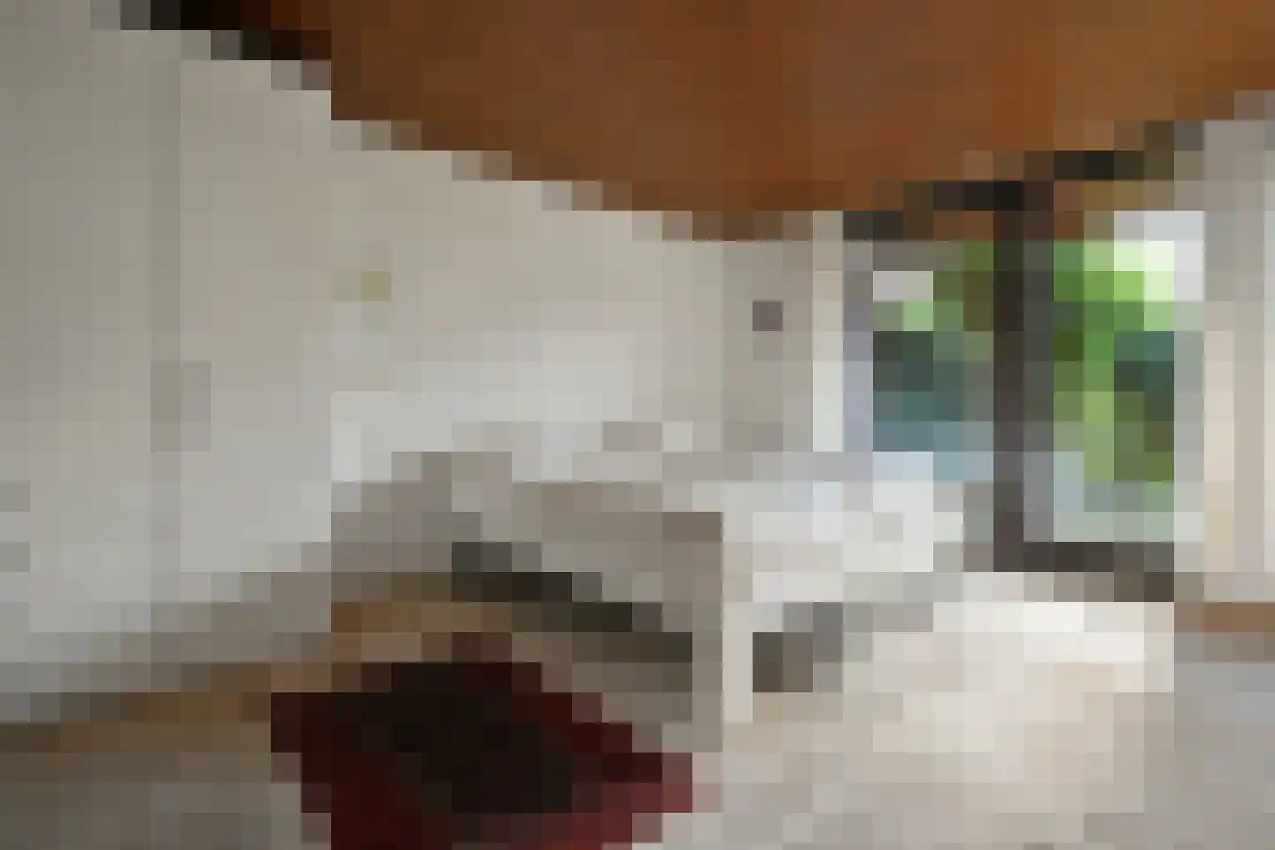 Aeneaslaan 24 Eindhoven thumbnail 29