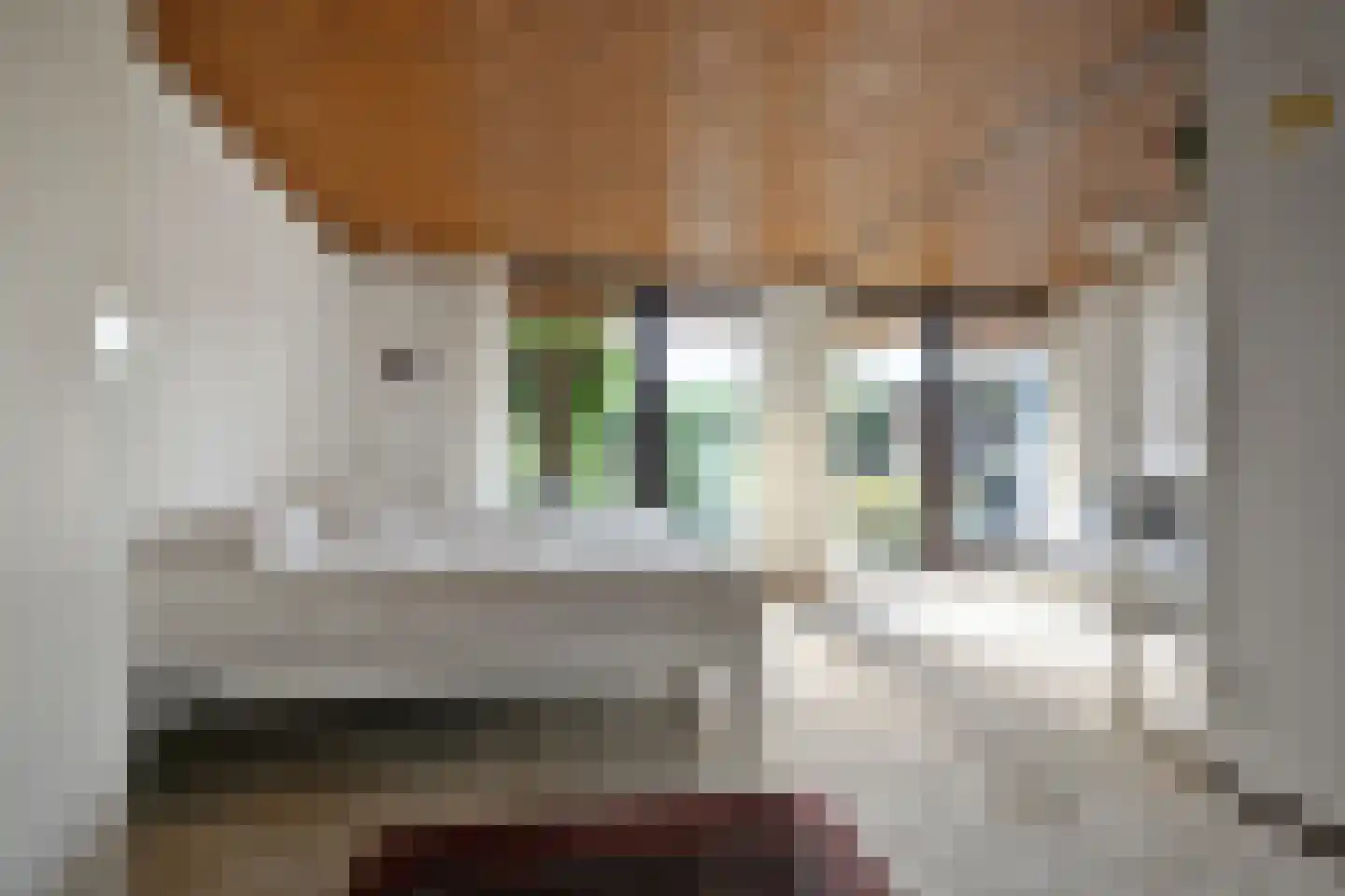 Aeneaslaan 24 Eindhoven thumbnail 30