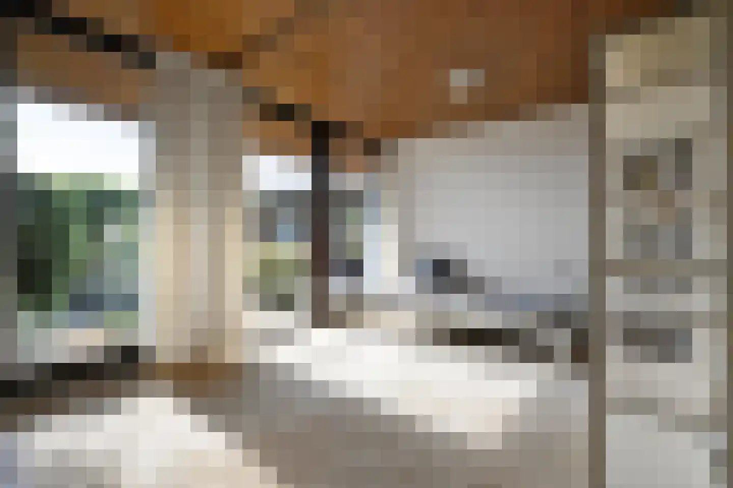 Aeneaslaan 24 Eindhoven thumbnail 31