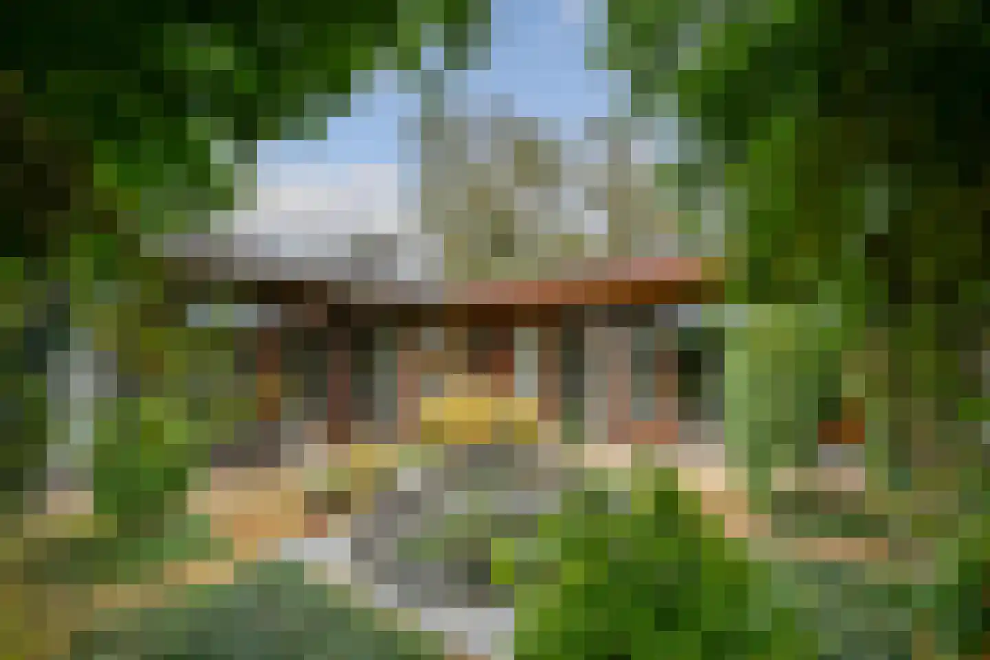 Aeneaslaan 24 Eindhoven thumbnail 44
