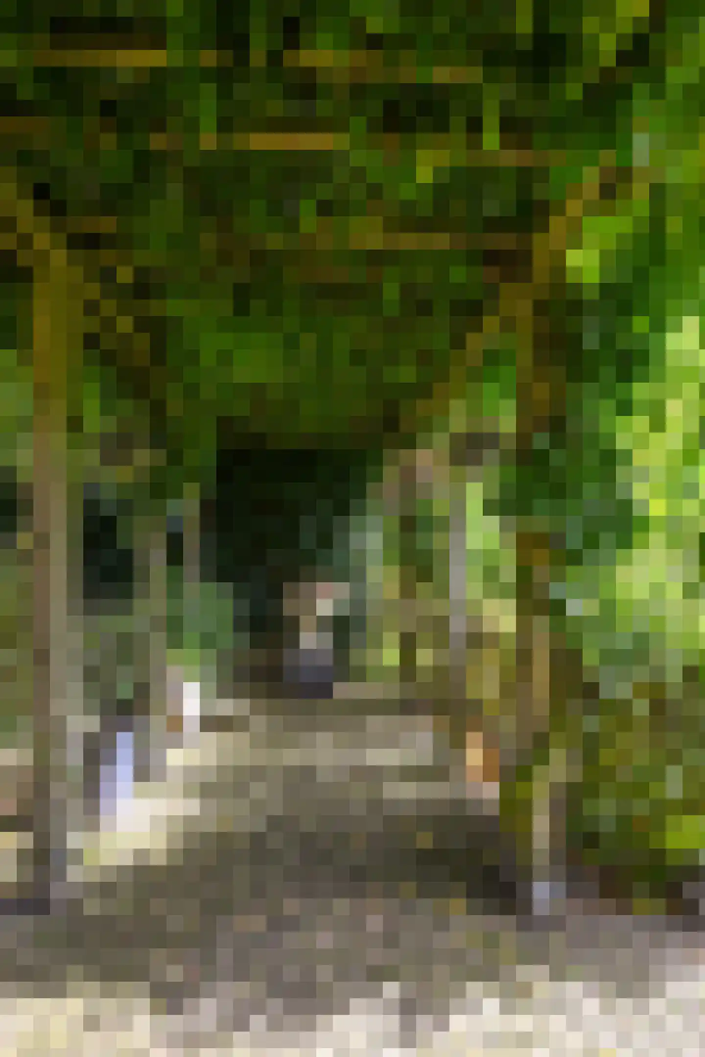 Aeneaslaan 24 Eindhoven thumbnail 47