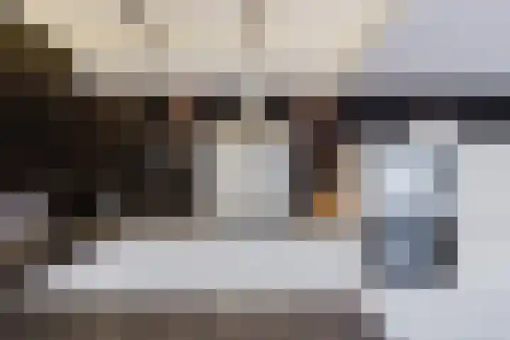 Aeneaslaan 3 Eindhoven thumbnail 15