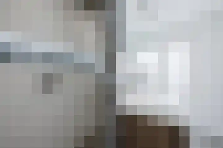 Aeneaslaan 3 Eindhoven thumbnail 25