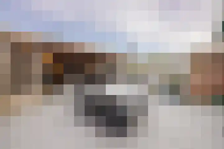 Aeneaslaan 3 Eindhoven thumbnail 31