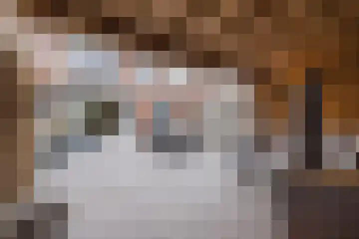 Aeneaslaan 3 Eindhoven thumbnail 34