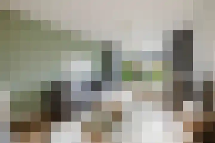 Aeneaslaan 3 Eindhoven thumbnail 8