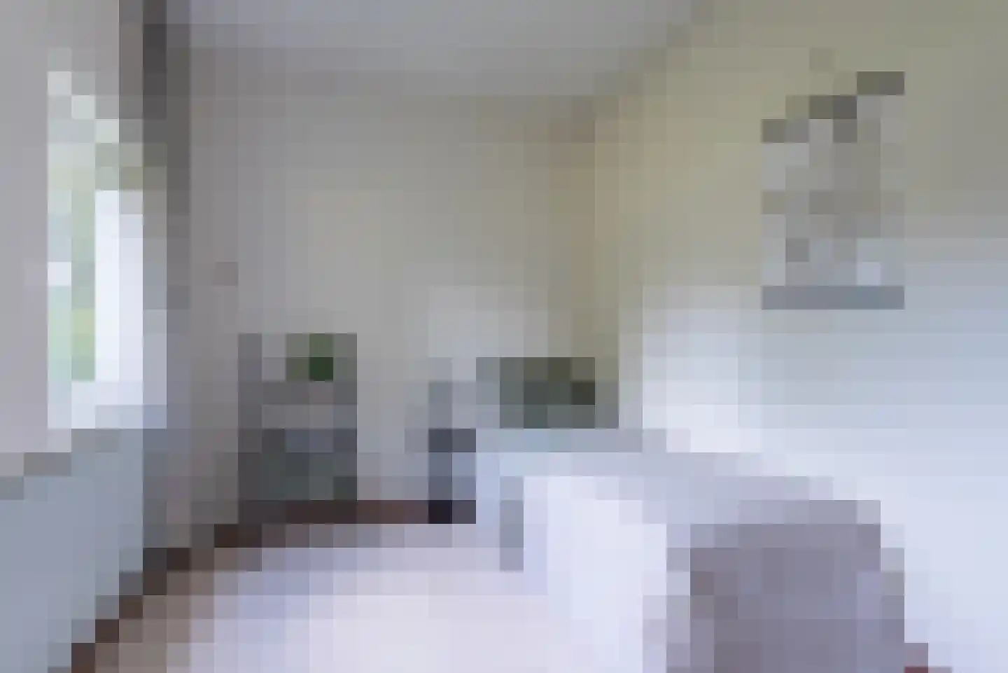 Aeneaslaan 34 Eindhoven thumbnail 12