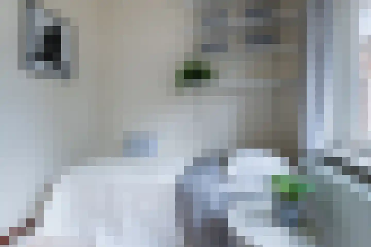 Aeneaslaan 34 Eindhoven thumbnail 38