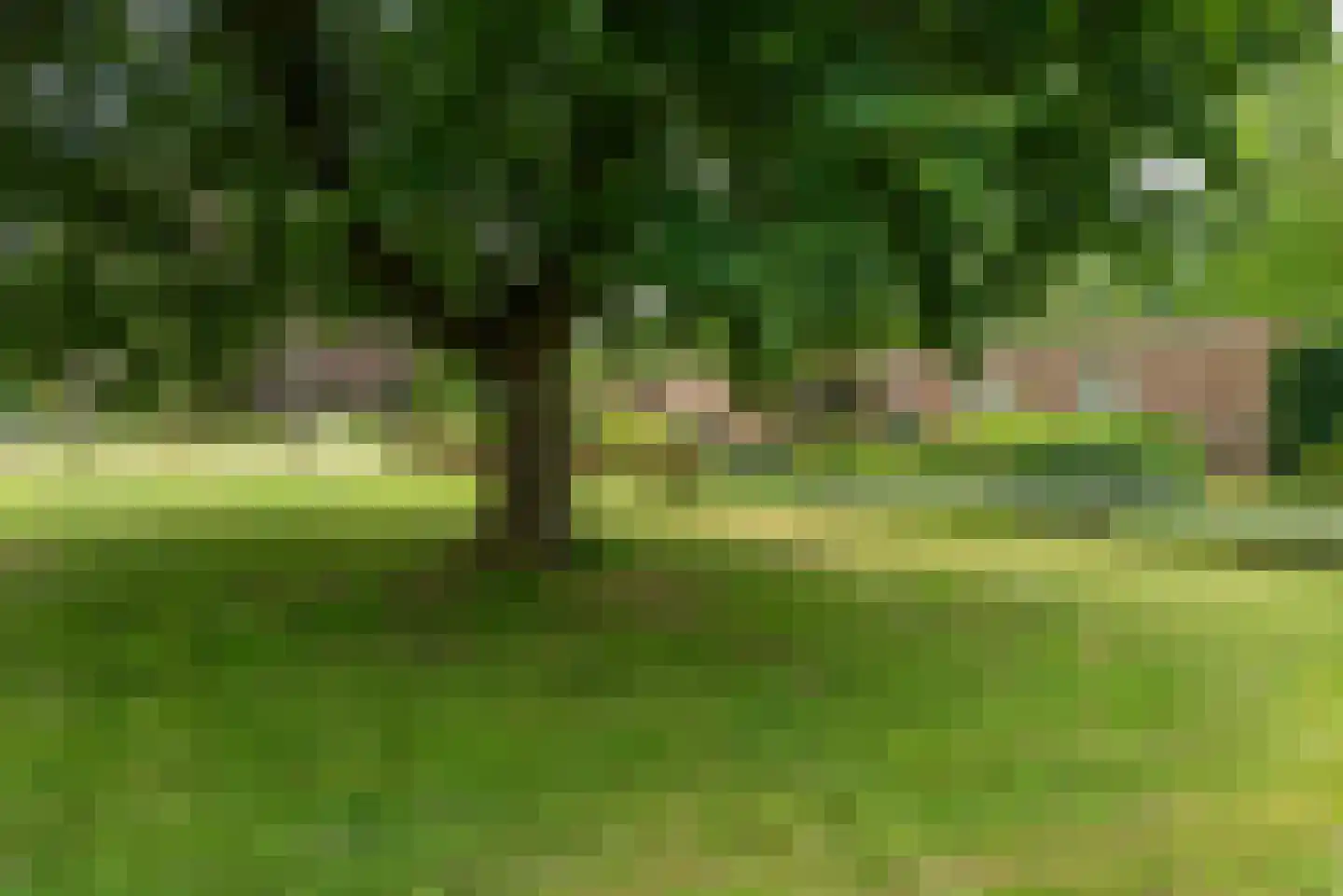 Aeneaslaan 34 Eindhoven thumbnail 58