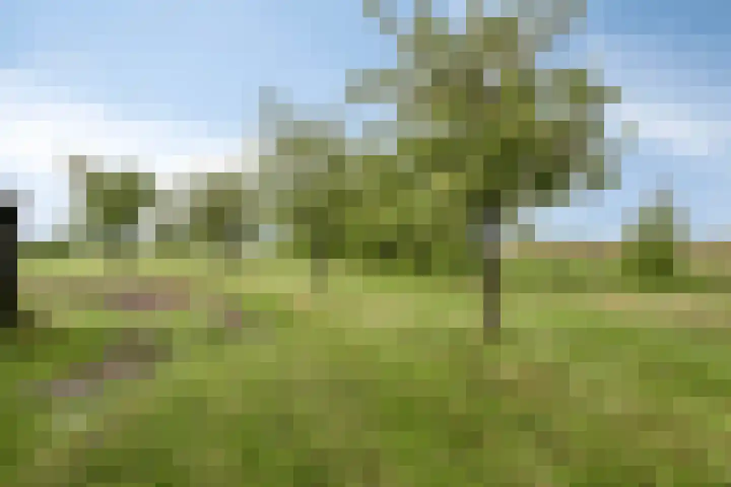 Aengwirderweg 180 Luinjeberd thumbnail 44