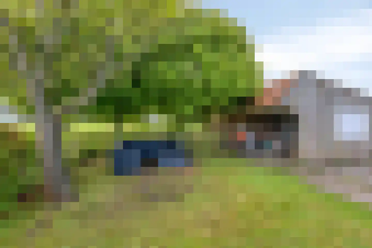 Aengwirderweg 180 Luinjeberd thumbnail 48