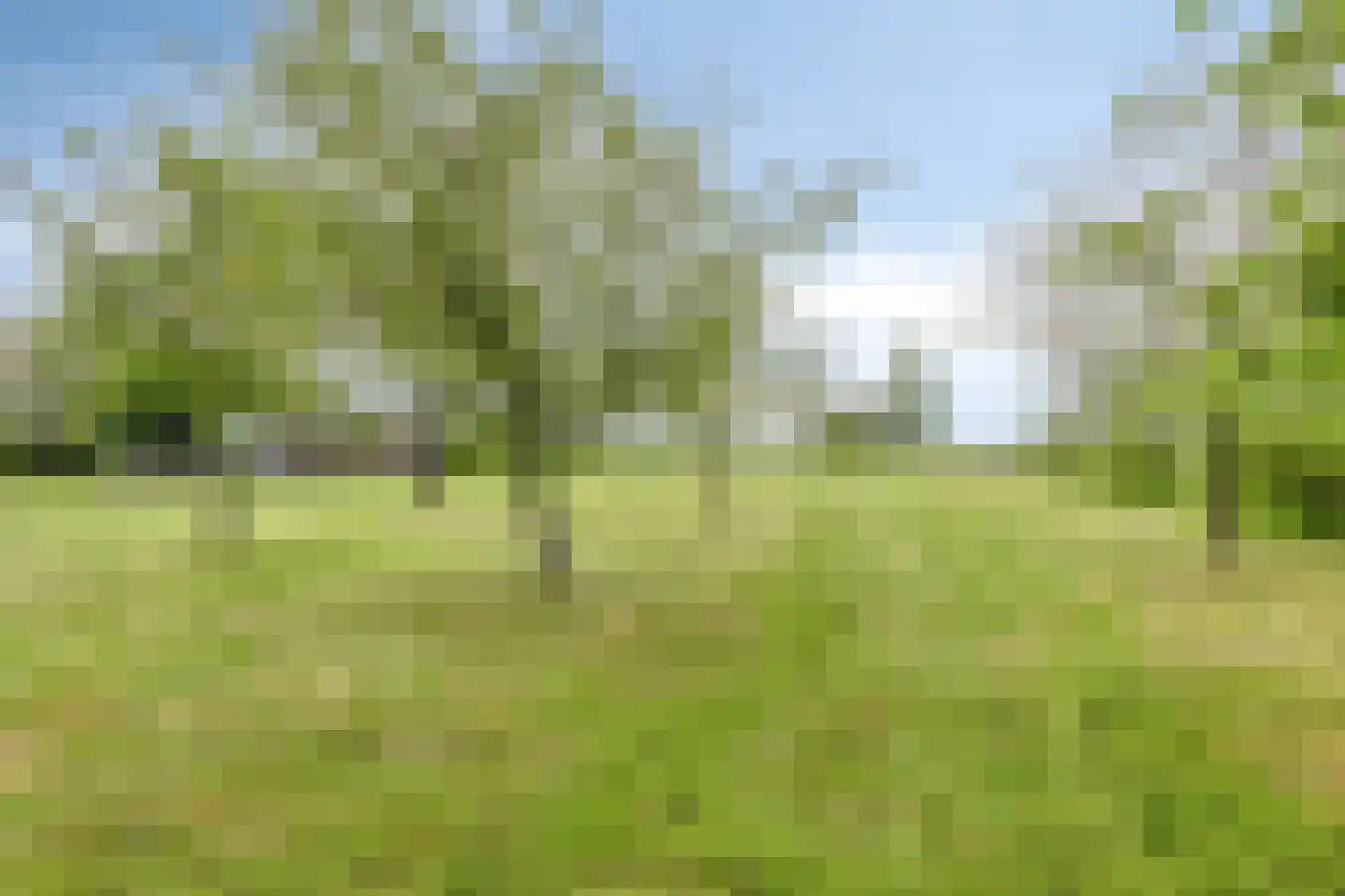 Aengwirderweg 180 Luinjeberd thumbnail 52